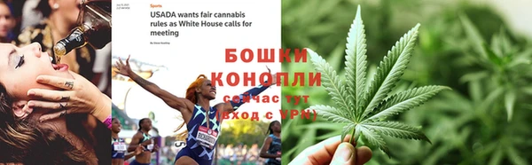 гашик Каменка