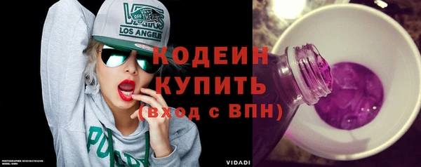 гашик Каменка