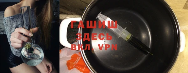 гашик Каменка