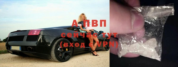 гашик Каменка