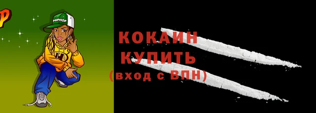 гашик Каменка