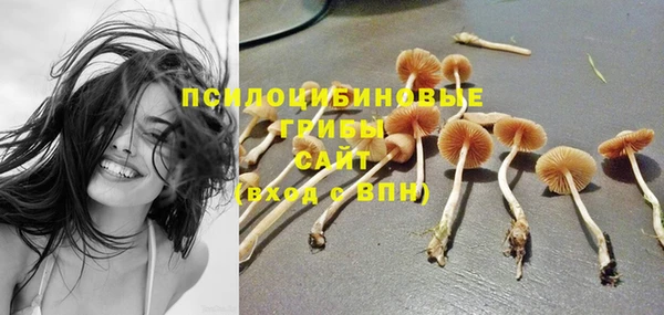 мет Каменск-Шахтинский