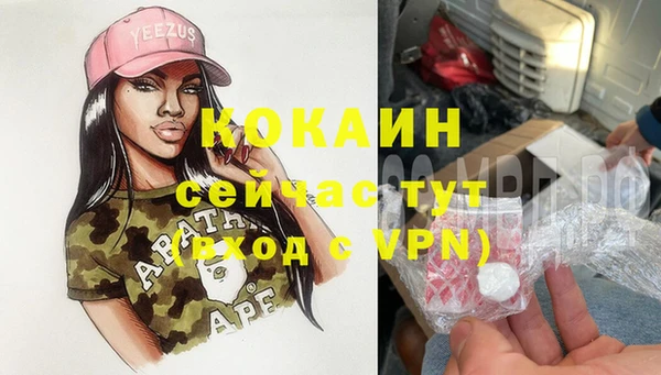 твердый Каменногорск