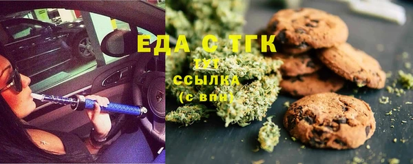 гашик Каменка