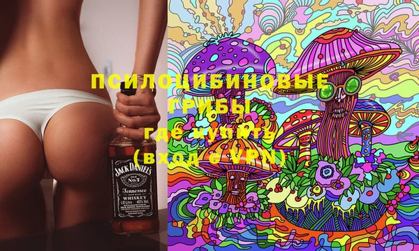 твердый Каменногорск