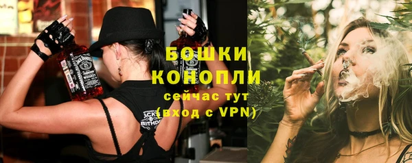 гашик Каменка