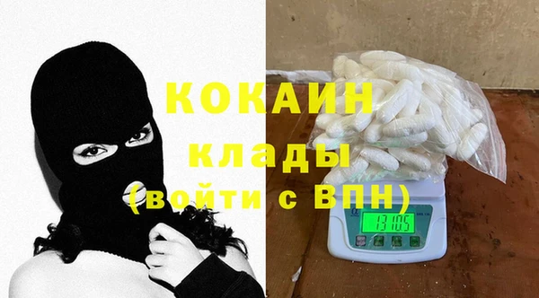 гашик Каменка