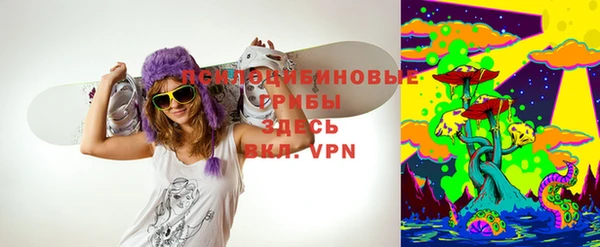 гашик Каменка