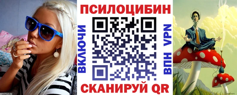 Галлюциногенные грибы Psilocybine cubensis Курчалой
