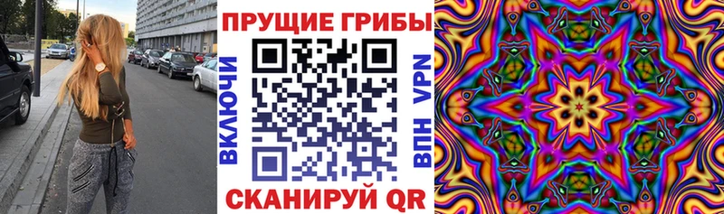 Купить закладки  Курчалой  Псилоцибиновые грибы ЛСД 