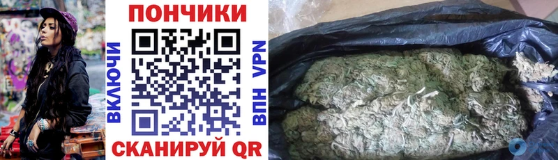 Бошки Шишки гибрид  Купить где  Курчалой 